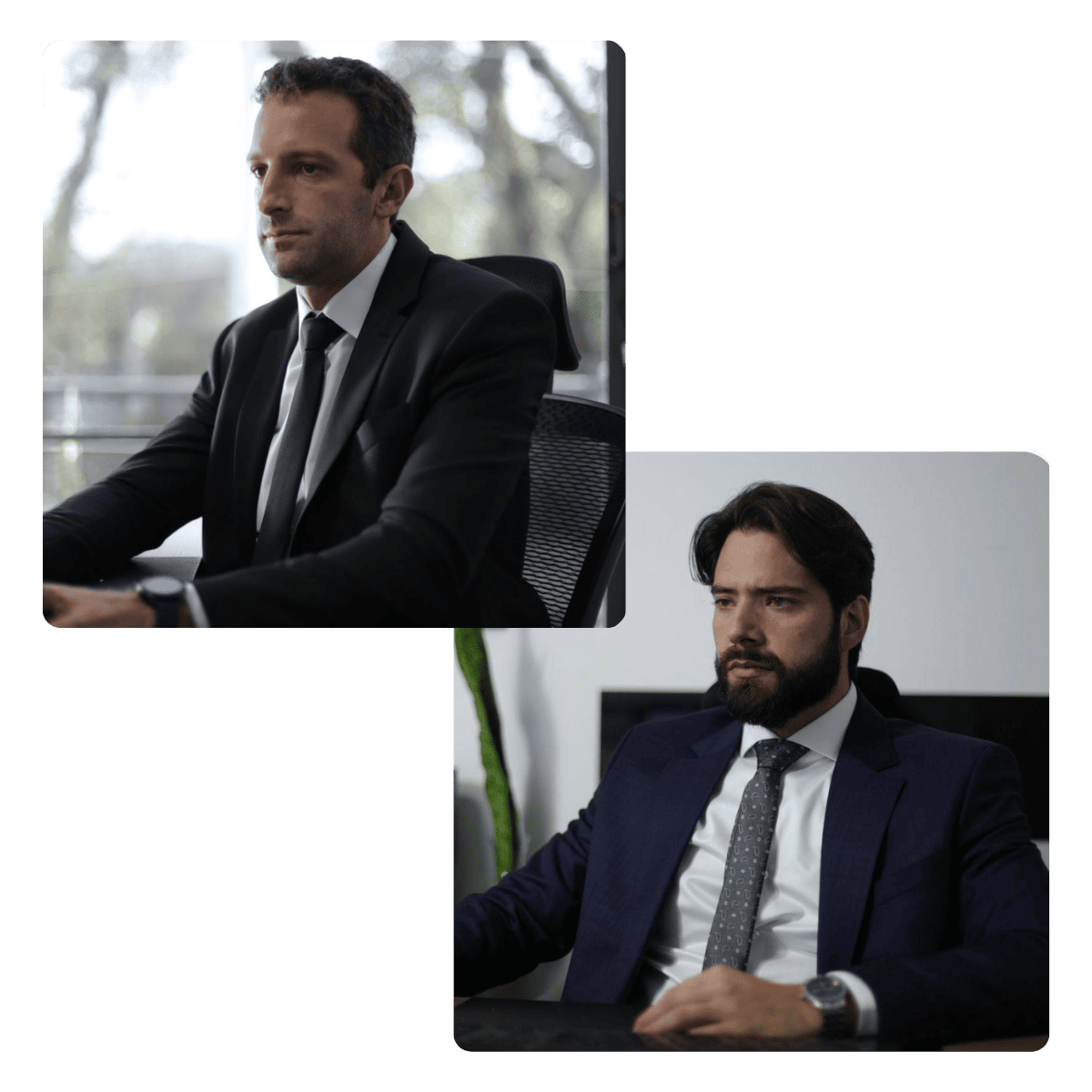 Sócios Terrazzan & Almeida Advogados